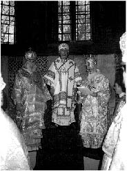 image19.jpg