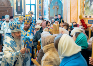 Снимок экрана от 2026-02-17 08-25-18